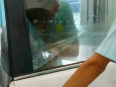 -车艺尚上海龙膜隐形车衣汽车贴膜旗舰店