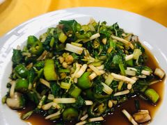 -荣生萝卜汤饭店