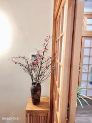 点击看大图 -宥莉·ULLY 痘敏肌•科技皮肤管理中心