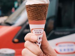 -富豪雪糕车流动点(尖沙咀店)