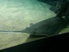 -苏州海洋馆