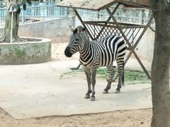 -广东茂名森林公园