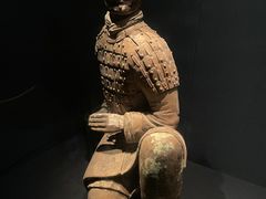 -陕西历史博物馆