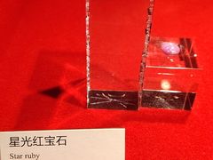 -广东省博物馆