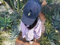 -宁波九龙湖开元度假村