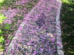 -荣昌花园
