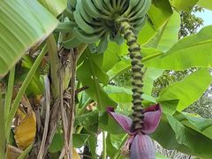 -云溪植物园