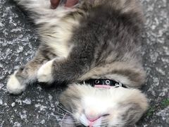 -老屋咖啡