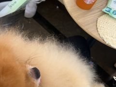 -星巴克(深圳平安金融中心B1店)