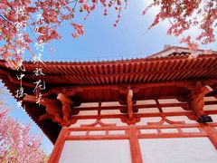-西安青龙寺遗址景区