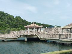 -广东惠东海龟国家级自然保护区