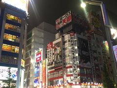 -秋叶原电器街
