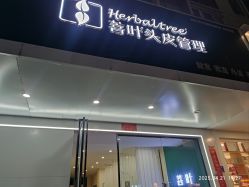-菩叶脱发白发中心