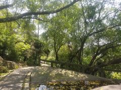 -云洞岩风景区