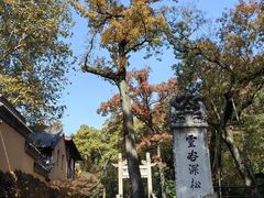 -灵谷景区