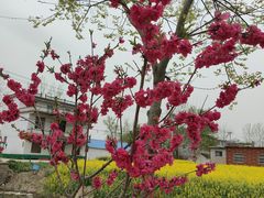 -威海华夏城景区
