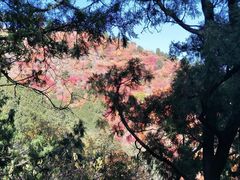 -香山公园-东宫门售票处