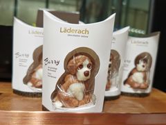 -Laderach 莱德拉(上海环贸iapm店)