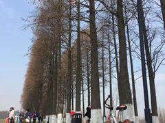 -盘龙城国家考古遗址公园