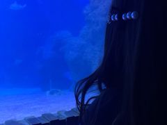 -左海海底世界