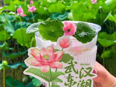 -东湖磨山景区