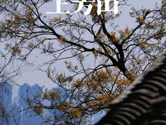 -苏州上方山国家森林公园