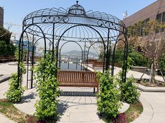 -新世界百货(明洞总店)