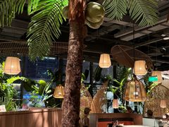 -大头椰·椰子鸡火锅(南宁万象城店)