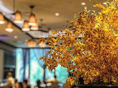 大堂-一哥澳门豆捞·澳门风打边炉(高德置地店)