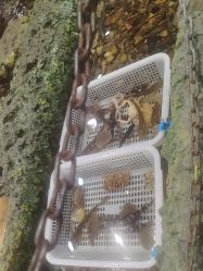 -钓虾工场·钓虾·赶海(回龙观店)