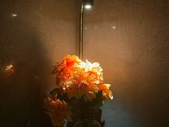 -墨锦轩·5D影院足浴·SPA(高新店)