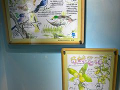 -上海昆虫博物馆