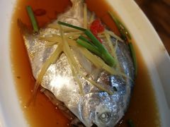 大白鲳-浙C老邻舍(西城海错店)