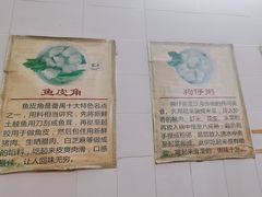 -针姨
