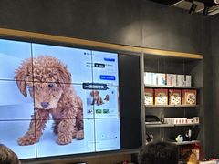 -联想直营店(上海园区店)