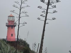 -漳州滨海火山岛自然生态风景区