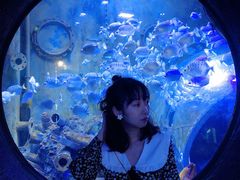 -成都浩海立方海洋公园