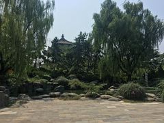 -西安青龙寺遗址景区