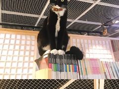 -小时光咖啡馆(开森度假森林店)