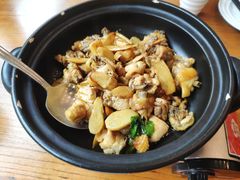 -饭怕鱼(阳光100店)