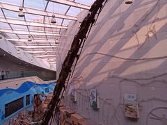 -陕西自然博物馆