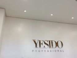 -YESIDO椰岛造型