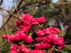 -花溪公园