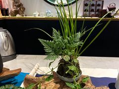 -青藤茶馆(南山路店)