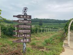 -北京张裕爱斐堡酒庄