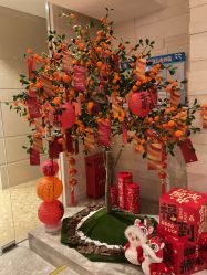 -丽妍雅集 Rubis SPA