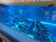 -迪拜水族馆及水下动物园