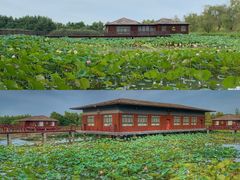 -泗洪洪泽湖湿地景区