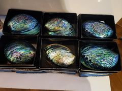 -怀托摩萤火虫洞