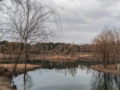 -长广溪湿地公园